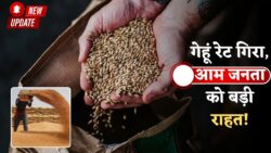 गेहूं के दाम घटे – किसानों और आम जनता के लिए राहत की बड़ी घोषणा, MSP पर भी असर पड़ेगा