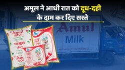 Amul ने आधी रात को दूध-दही के दाम धड़ाम कर दिये! कीमतों में भारी कटौती का बड़ा फैसला, पूरे देश में खुशी की लहर